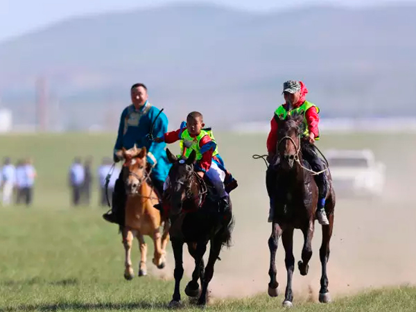 西乌珠穆沁旗草原赛马盛大举行 中华民族大赛马再受关注 2.jpg