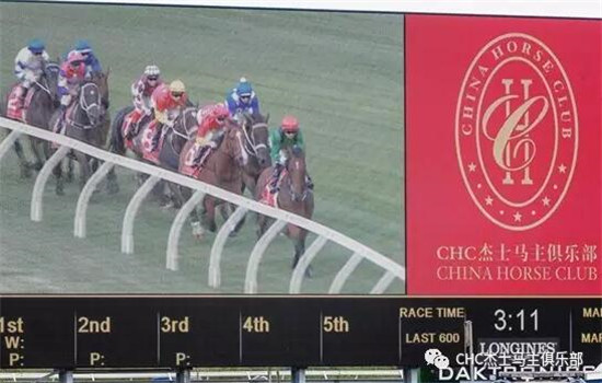 没有悬念!世界第一赛马女王“云丝仙子”迎来24连胜 大陆马 大陆赛马网 (3).jpg