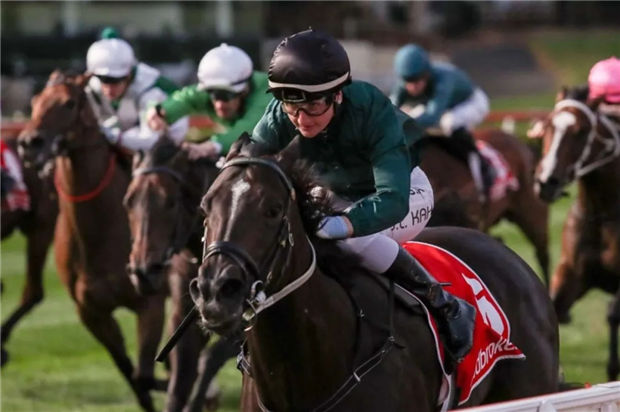 网购马靠谱么?昨天一匹网上淘的“不孕马”35倍爆冷夺200万奖金大赛! 大陆赛马网 (1).jpg