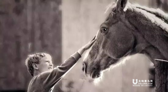 每个人心中都有一个马场 坚持下去 梦想就会成真 大陆赛马网.jpg