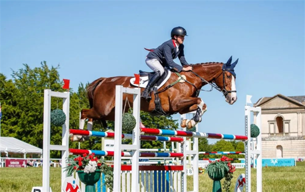 青马课堂:马术场地障碍看路线的技巧与方法 大陆马 (2).png