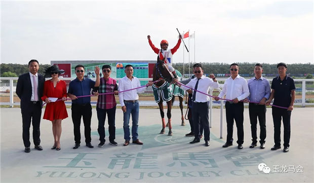 2019玉龙赛道1600米速度最快、单场豪取100万奖金赛马:“勇强旋风” 大陆赛马网 (4).jpg