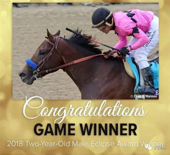 “赛马奥斯卡”揭晓,CHC再登世界舞台中央:“正义”获美国日蚀奖年度马王8-大陆赛马网.jpg
