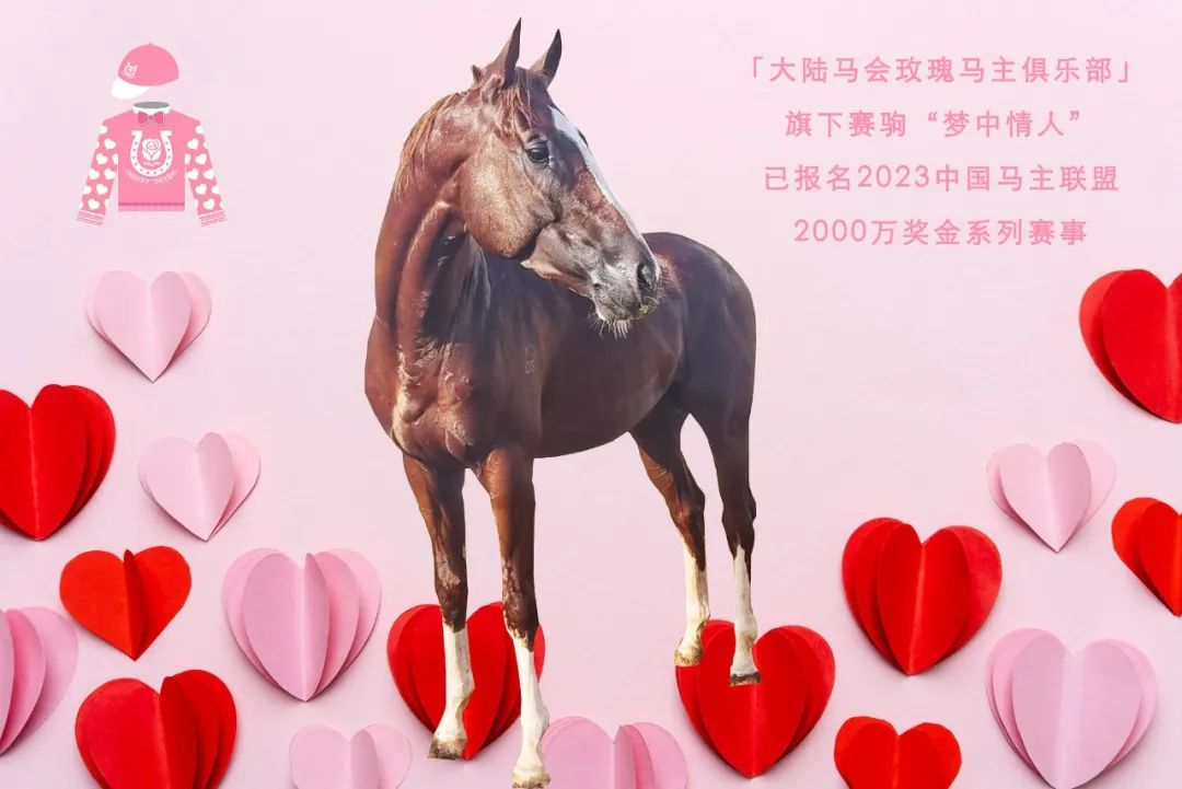 大陆马会玫瑰马主俱乐部 大陆马.jpg