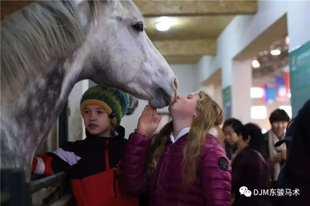 2019年全国青少年马术“造星梦工厂”——沈阳东骏马术夏令营开营啦! 青马网大陆马 (7).jpg
