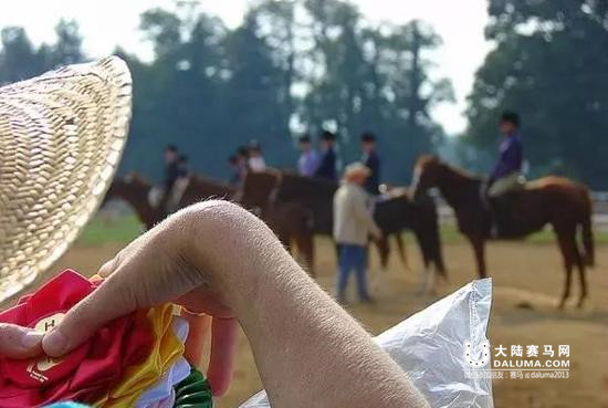 马儿教给我们的12条戒律 大陆赛马网.jpg