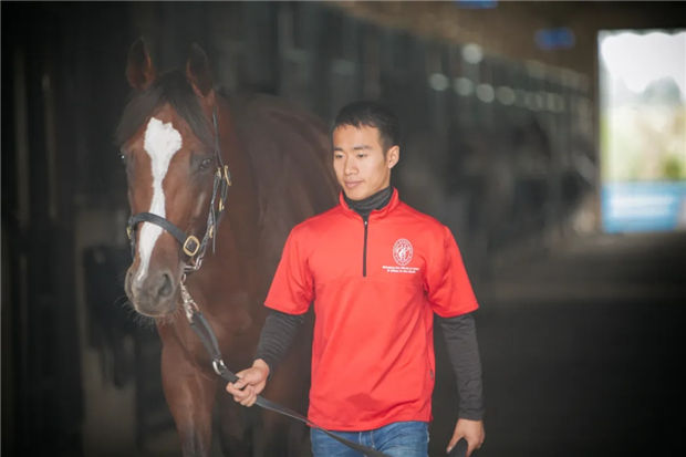 中国赛马骑师覃勇一日连夺两冠:澳洲冠军总数已达55个 大陆赛马网 (2).jpg