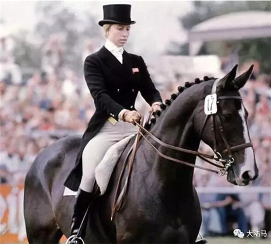 花三个亿为女儿养马,原来有钱人家这么养娃 大陆马 大陆赛马网 (20).jpg