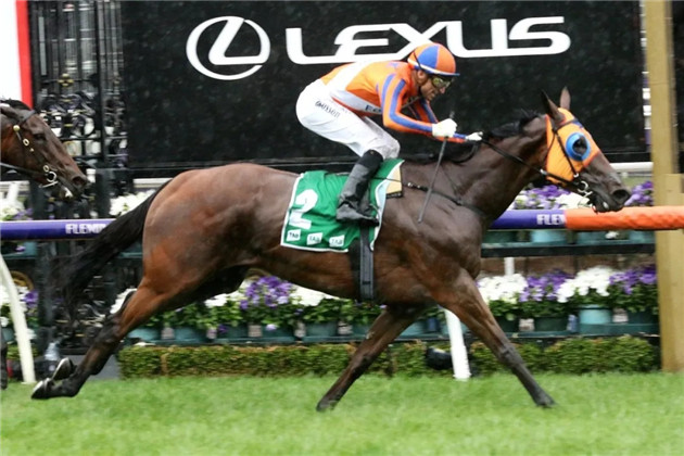 澳洲一级赛唐加士打一哩赛闸位抽签出炉:新西兰明星雌马最大热门 大陆赛马网.jpg