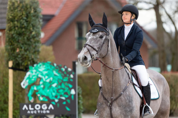 全球顶级马术赛马拍卖会即将开幕!冠军骑手为你选马! 大陆马 (11).png