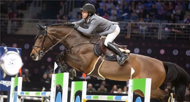 荷兰著名骑手搭档15年的温血公马Verdi退役仪式因新冠疫情取消 青马网.jpg