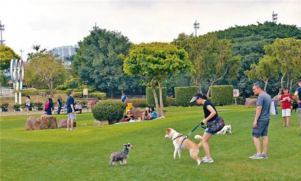 香港赛马会彭福马术体验中心2024年落成可策骑 大陆赛马网.jpg