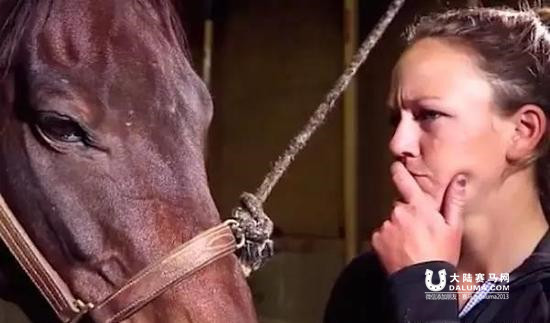 马儿教给我们的12条戒律大陆赛马网.jpg