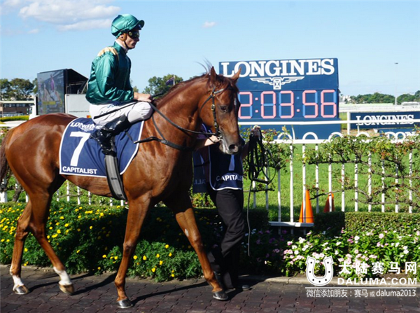 金拖鞋大赛冠军“资本家” 大陆赛马网