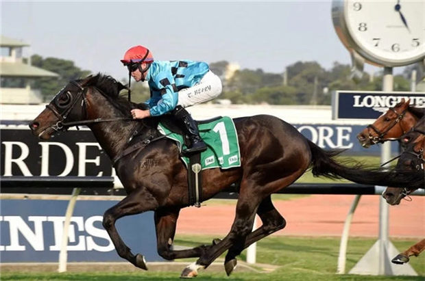 Aquis Farm雅士牧场与日发牧马堂共有三岁公马“碧蕙山”退役配种:已有两匹“皮耶罗”子嗣种公马 大陆赛马网 (2).jpg