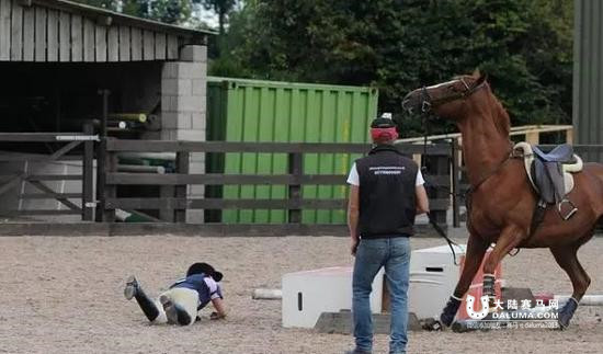 学习马术可以收获什么? 马儿教给我们的12条戒律 大陆赛马网.jpg