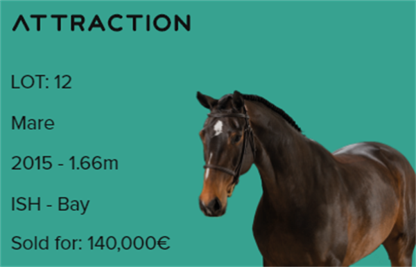 19匹马超2300万成交额!全球顶级温血马拍卖会完美收官! 大陆马 (8).png