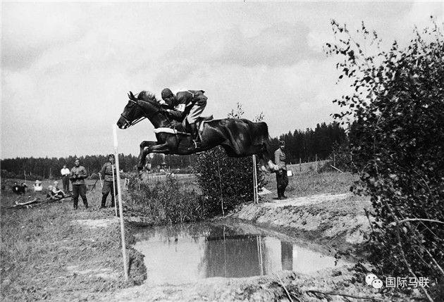 1952年赫尔辛基奥运会马术比赛首迎女骑手:曾身患小儿麻痹症骑手获银牌 青马网大陆马 (2).jpg