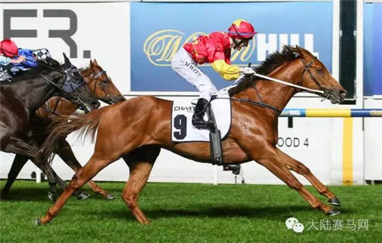 国庆大逆转:CHC“极选”反超7匹马勇夺50万澳币一级赛冠军 大陆赛马网.jpg