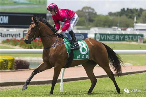 三匹赛驹冲击千万赛事冠军:澳洲Aquis雅士牧场频出亮眼大招2.jpg