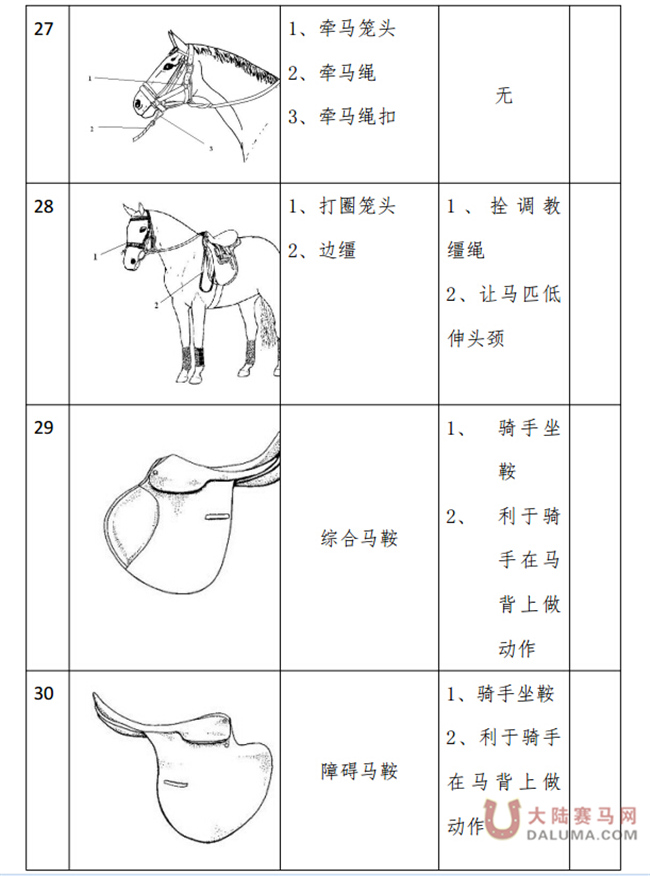 马术项目骑手分级管理实施细则8.jpg