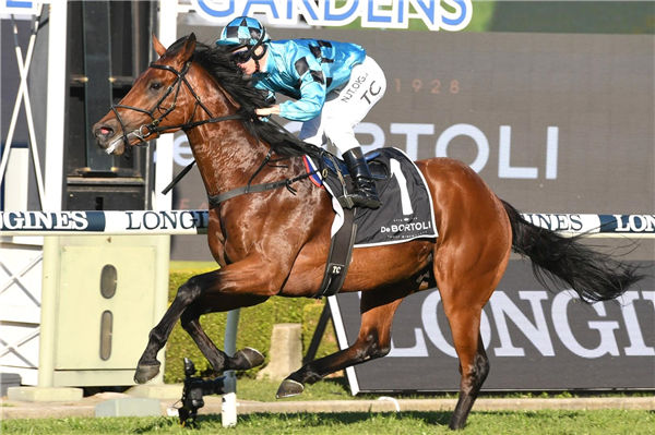 赛马场拳王再下一城!Aquis Farm雅士牧场“霍利菲尔德”勇夺第2个三级赛冠军 大陆赛马网.jpg