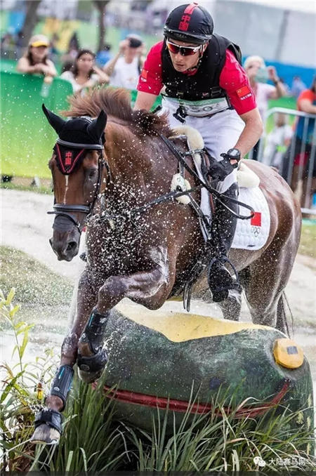 人们喜爱马术因为可以展示财富? 青马网大陆马 (1).jpg