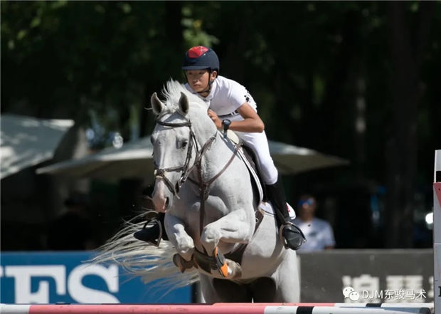 2019年全国青少年马术“造星梦工厂”——沈阳东骏马术夏令营开营啦! 青马网大陆马 (12).jpg