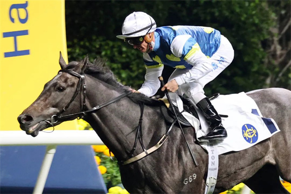 香港跑马地夜赛:潘顿暂以80场头马继续雄踞骑师榜榜首 大陆马.jpg