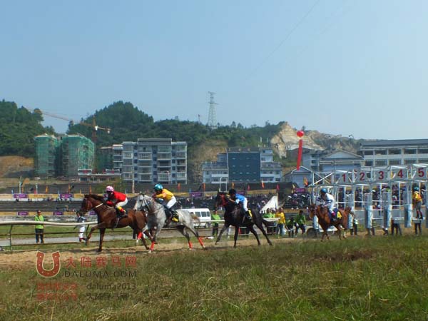 2014贵州三都全国赛马邀请赛激烈的赛马场面 大陆赛马网.jpg