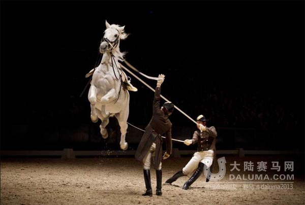 《时代周刊》评出2014年最佳马影像,总有一张震撼你的心灵 大陆赛马网5.jpg