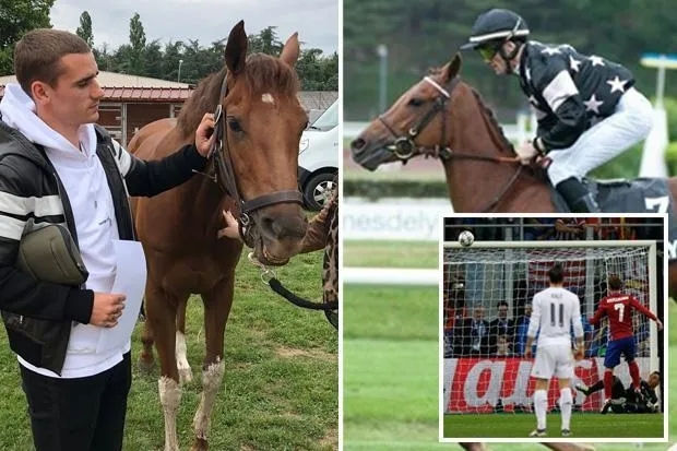 法国赛马新冠疫情后重启 法国球星、马主格里兹曼点赞转发 大陆赛马网 (2).jpg