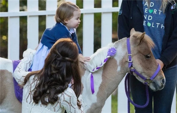 竟有这么多爱骑马的明星孩子!祝小骑士们儿童节快乐! 青马网大陆马 (2).jpg