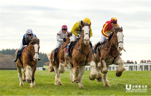 英国现超重量级跑马比赛 职业骑师策骑冷血马出战.jpg