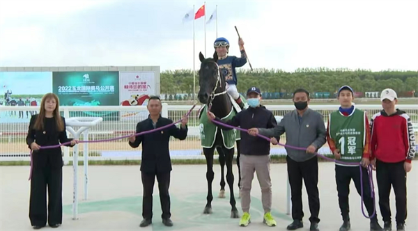 看“区块链”如何玩转赛马场!名字来自于习主席的重要表态! 大陆马 (5).png