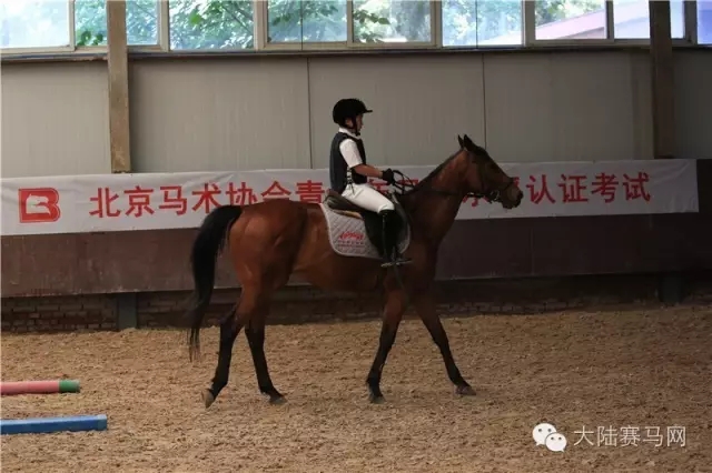 《每周马闻播报》六月第1周:“青马乐园”全国马术趣味推广赛反响热烈6.webp.jpg