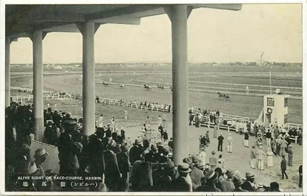 哈尔滨体育局局长:我们要“种草”马术和赛马,这是哈尔滨四大“潮”! 青马网大陆马 (3).jpg