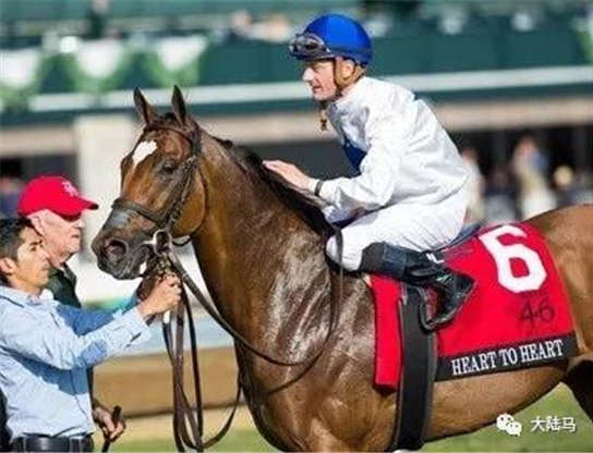 最好的圣诞节礼物,就是“马上”梦想成真1-大陆赛马网.jpg