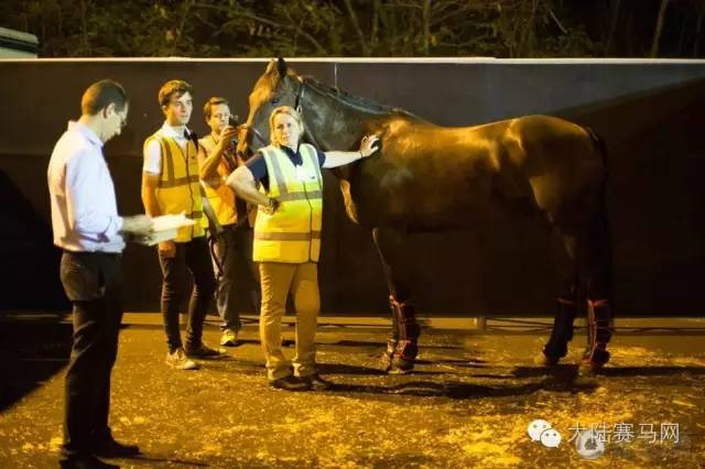 奥运参赛马匹坐商务舱抵达巴西:华天和“堂·热内卢”里约最新动态 8.jpg