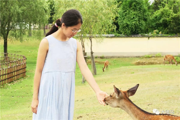 被北大录取的马术女孩宫婧溪:小朋友总会轻言放弃,但长大后会感谢家长的坚持! 青马网大陆马 (7).jpg