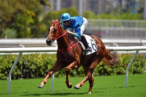 更换骑师败北:香港五连胜的“八仟师”首次一级赛告负 大陆马.jpg