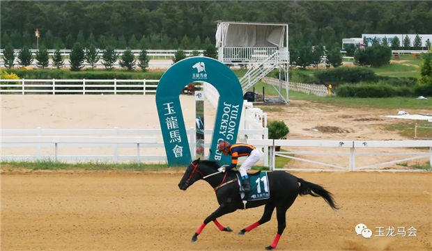 华宇马业明星赛马“万事俱备”:80万奖金中国马主联盟蓝钻锦标冠军 大陆赛马网 (7).jpg