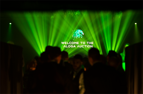 19匹马超2300万成交额!全球顶级温血马拍卖会完美收官! 大陆马 (15).png