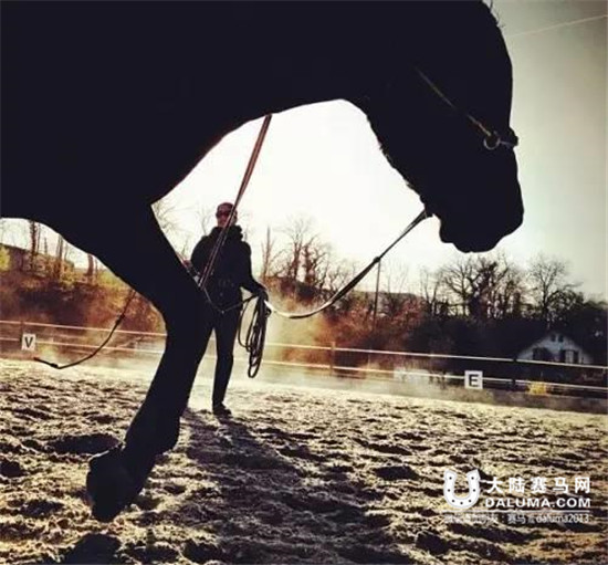 学习马术可以收获什么? 马儿教给我们的12条戒律 大陆赛马网.jpg