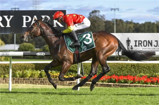 70万澳币周岁购入!CHC杰士马主俱乐部2岁公马“俄勒冈”斩获首冠 大陆赛马网 (1).jpg