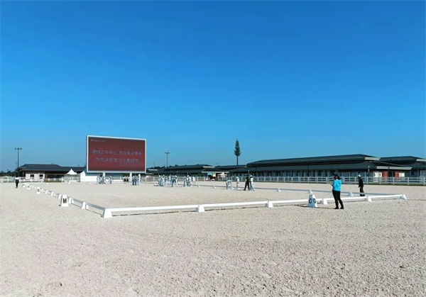 北京威斯恩国际马术设备有限公司:中国马术设备领军企业! 大陆马 (30).jpg