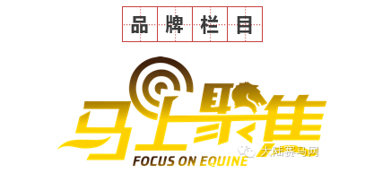 《马上聚焦》3分钟中国马术三项赛视频帮你了解奥运会三项赛6.jpg