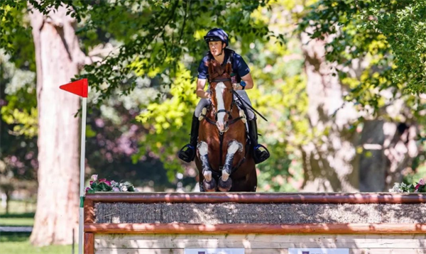 青马课堂:马术场地障碍看路线的技巧与方法 大陆马 (1).png