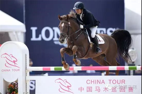 马背上跨越障碍的栾树-大陆赛马网.jpg