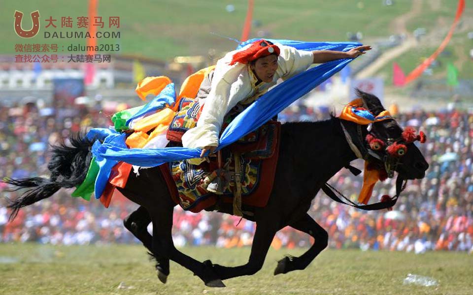 青海玉树赛马会:草原上的别样赛马节 地震后首次赛马 大陆赛马网.jpg